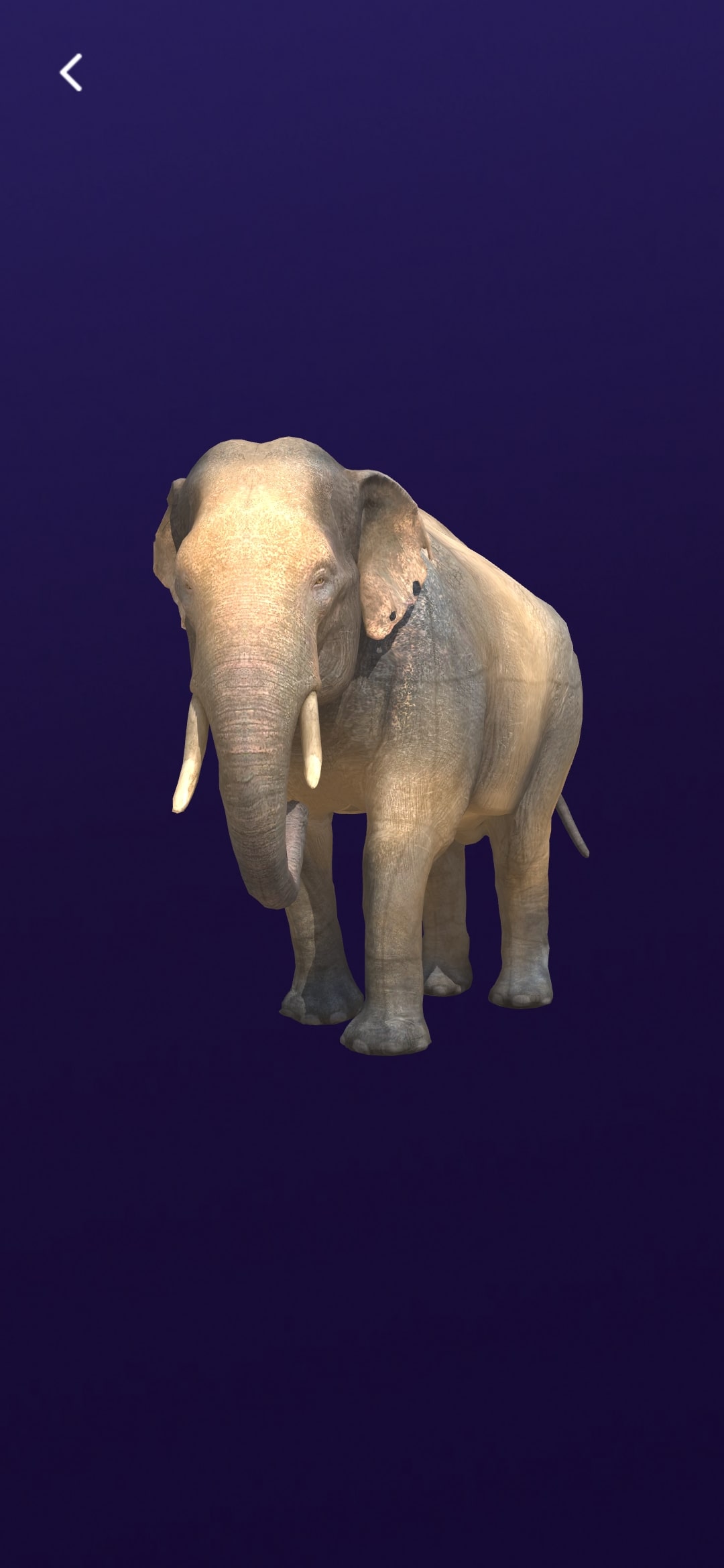 App Brilla Madrid Zoo